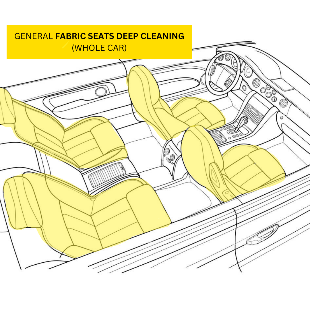 Carpet / Fabric Seats Deep Cleaning