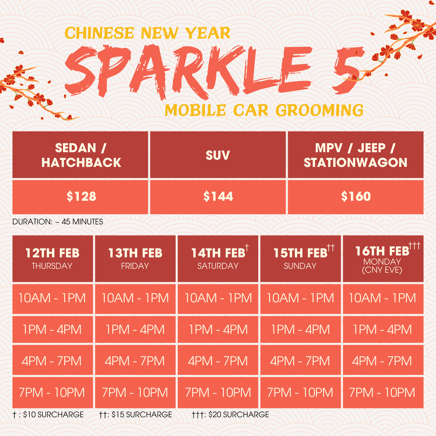CNY SPARKLE 5 - MOBILE Car Grooming