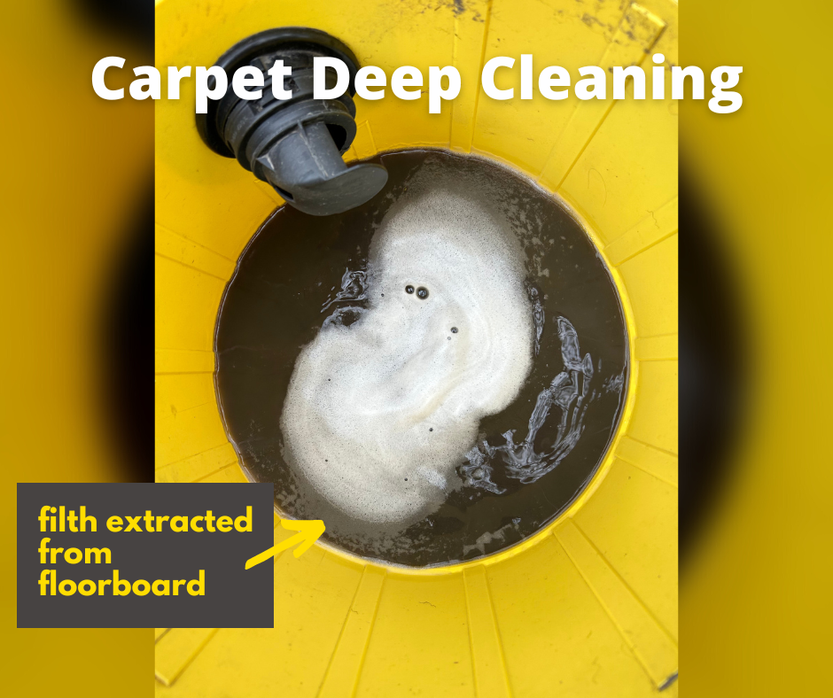 Mobile Carpet Deep Cleaning in Singapore