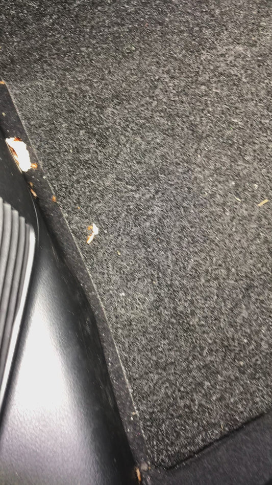 Car Fumigation Singapore - Mobile Car Wash by Wash Collective